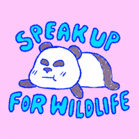 Illustrated gif. A panda lies splayed out on its stomach as its mouth moves. Text, "Speak up for wildlife."