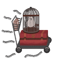 Travel Magic Sticker