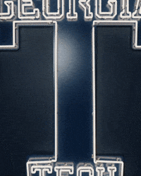 Georgia Tech Baseball GIF by Georgia Tech Yellow Jackets