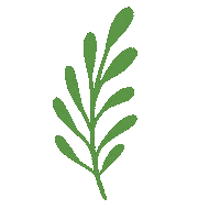 auliawnd green plant plants tumbuhan Sticker