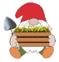 Garden Gnome Sticker