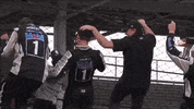 Winning Kevin Harvick GIF by NASCAR