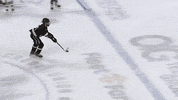 GIF by Milwaukee Admirals