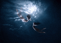 Nmixx GIF