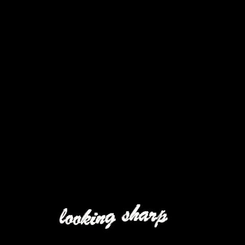 Cactus Cacti GIF