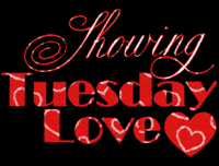 Happy Tuesday GIF