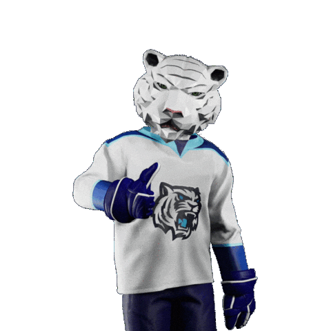 Hockey Hokej Sticker by Tipsport extraliga