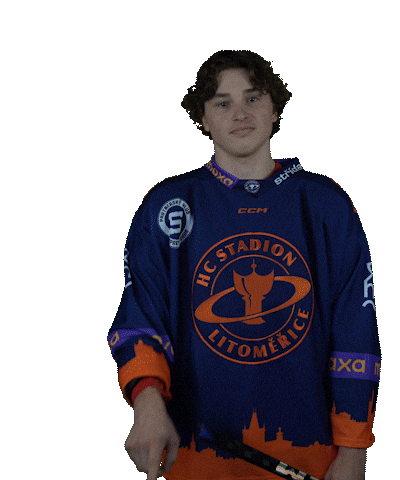 Sport Hokej Sticker by HCSTADION