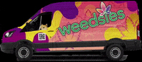 Weedsies dog mobile car miami GIF
