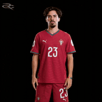 Cristiano Ronaldo Portugal GIF by Respective