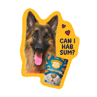Happy Dog Sticker by Awesome Pawsome Treats