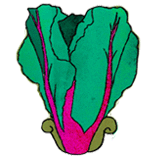 wonderfruit 2018 Sticker by Wonderfruit Festival