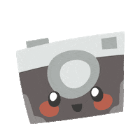 photography photo Sticker by laughlau