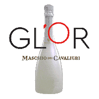 cheers sparkling Sticker by Cantine Riunite & Civ