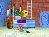 season 6 gullible pants GIF by SpongeBob SquarePants