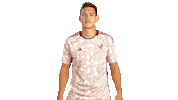 World Cup Mexico Sticker by MiSelecciónMX