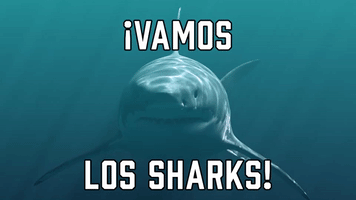 ¡Vamos Los Sharks!