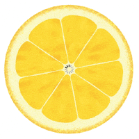 williamwolfgangwunderbar loading lemon perfect users GIF