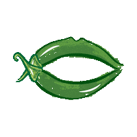 Hot Sauce Vegan Sticker by Saucylips