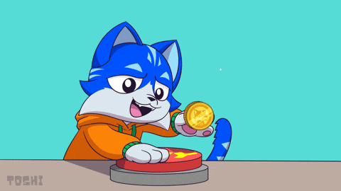 Happy Cat GIF by Toshithecat