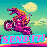 Send It GIF by Florida Man Shades