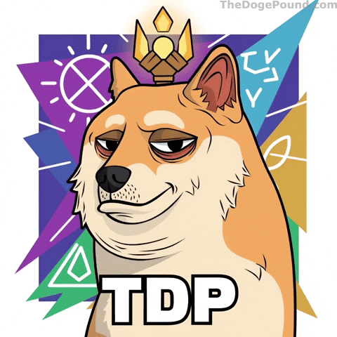 I Know Deal With It GIF by Doge Pound