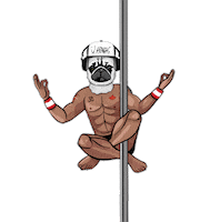 Djashar Justin Ashar Sticker by Pug Life Agency®