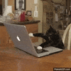GIF by BOXYCHARM