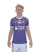 Soccer Stadium Sticker by Toulouse Football Club