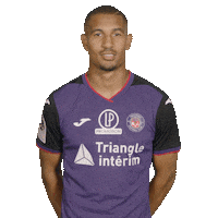 toulousefc football soccer club fifa Sticker