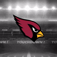 Super Bowl Nfl GIF by DraftKings