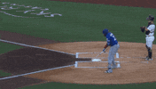 Blue Jays Baseball GIF by Toronto Blue Jays