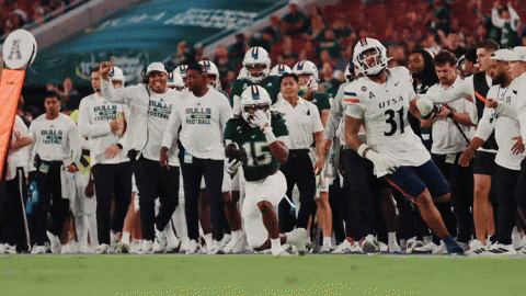 College Football GIF by USF Athletics