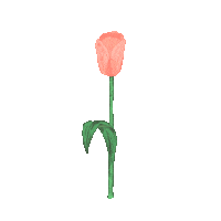 forencos 원더랜드 포렌코즈 Sticker