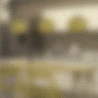 Giraffas amor romance comida crush GIF