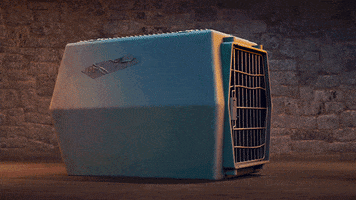 Drac GIF by Hotel Transylvania