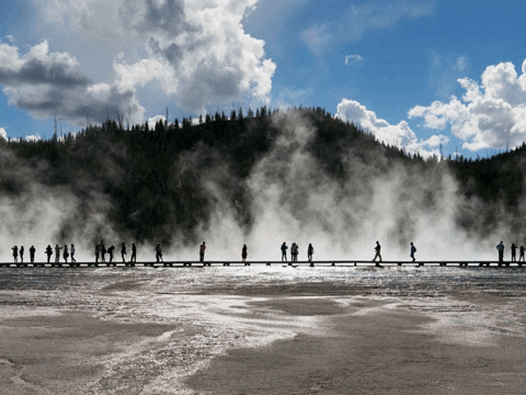 You Can Wow GIF by FranchiseONE.de