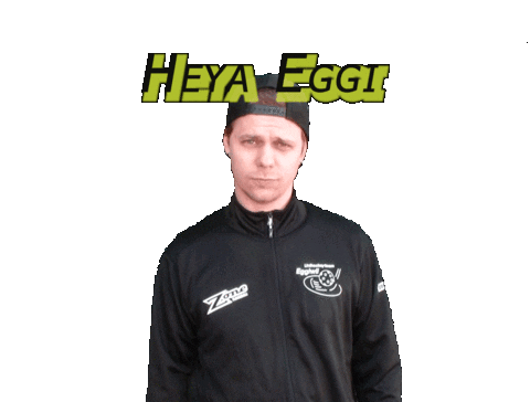 Floorball Unihockey Sticker by UHT Eggiwil