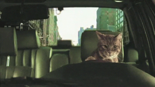 way move GIF