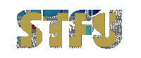 Art Glitch Sticker