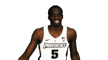 Sticker by Providence Friars