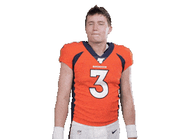 Denver Broncos Football Sticker by NFL