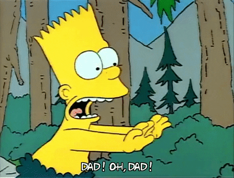 Season 1 GIF by The Simpsons
