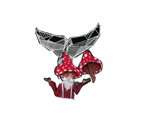 Whaleavl giphyupload mushroom gnome whale Sticker