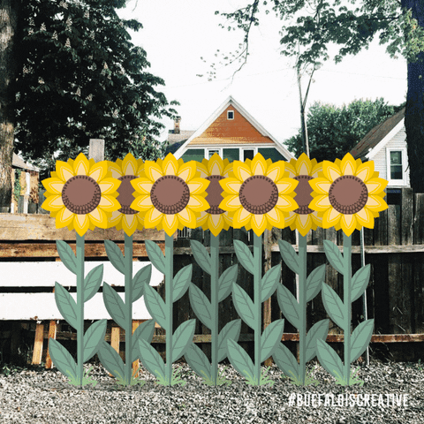 Buffalo Ny Flower GIF by Wonder Brink