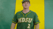 North Dakota State Baseball GIF by NDSU Athletics