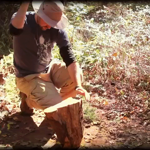 Baseball Hanging GIF by Four Rest Films