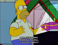 homer simpson GIF