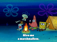 season 3 krabby land GIF by SpongeBob SquarePants