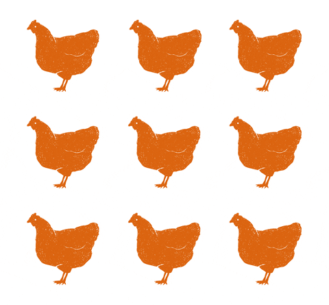 SoilAssociation giphyupload organic chickens hens GIF